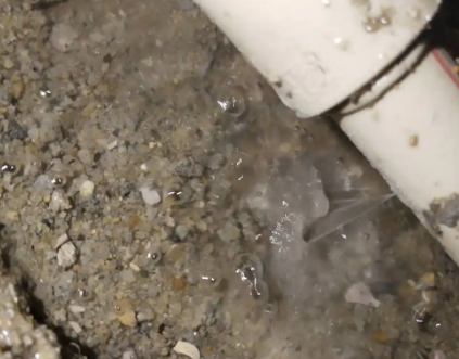 仙游测漏水电话号码