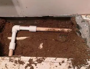 仙游测漏水哪家好