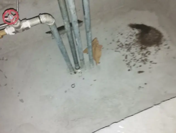 仙游卫生间测漏水价格明细