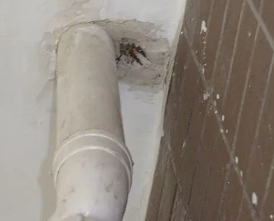 仙游漏水检测哪家好